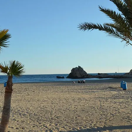 Wildhoney * Benidorm