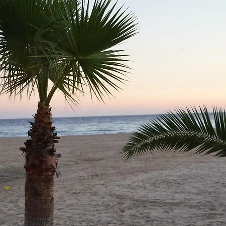 Apartment Wildhoney Benidorm