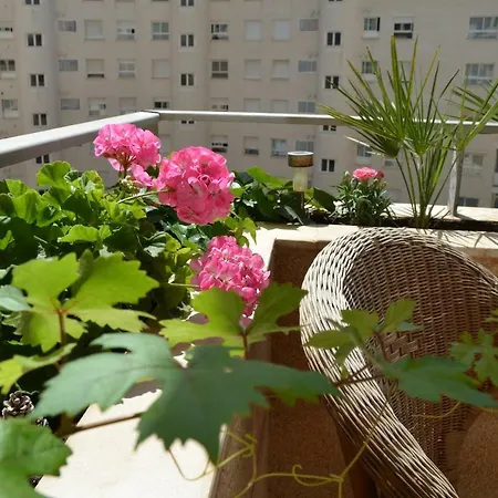 Wildhoney Apartment Benidorm