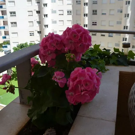 Wildhoney Apartment